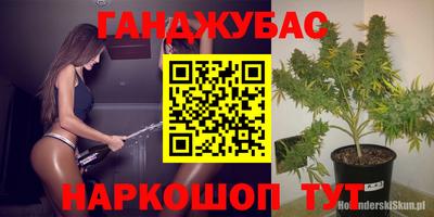 ПСИЛОЦИБИНОВЫЕ ГРИБЫ Берёзовский