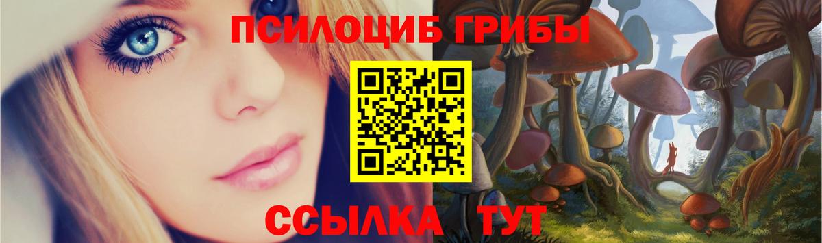 Галлюциногенные грибы Psilocybine cubensis Великие Луки